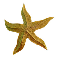 Broches étoiles dorées