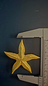 Broche étoile 5,7 cm